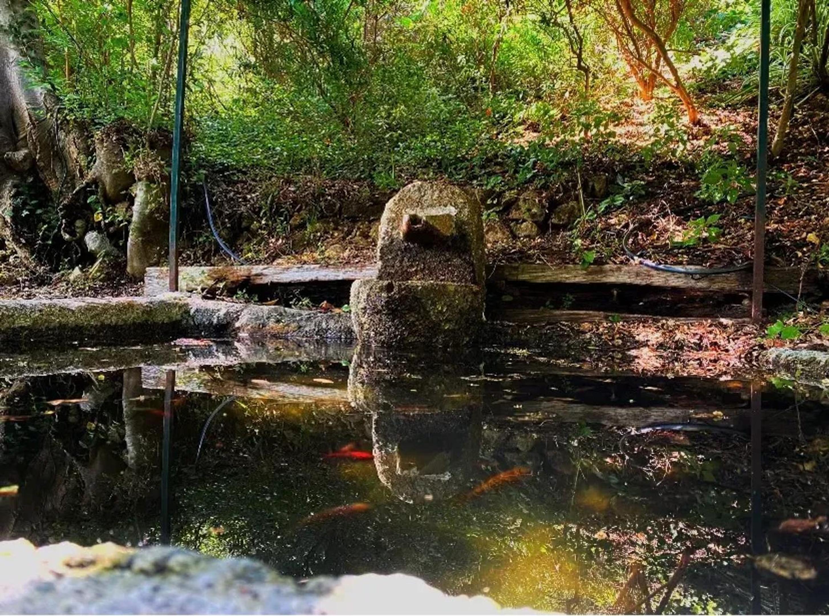 Photo 46