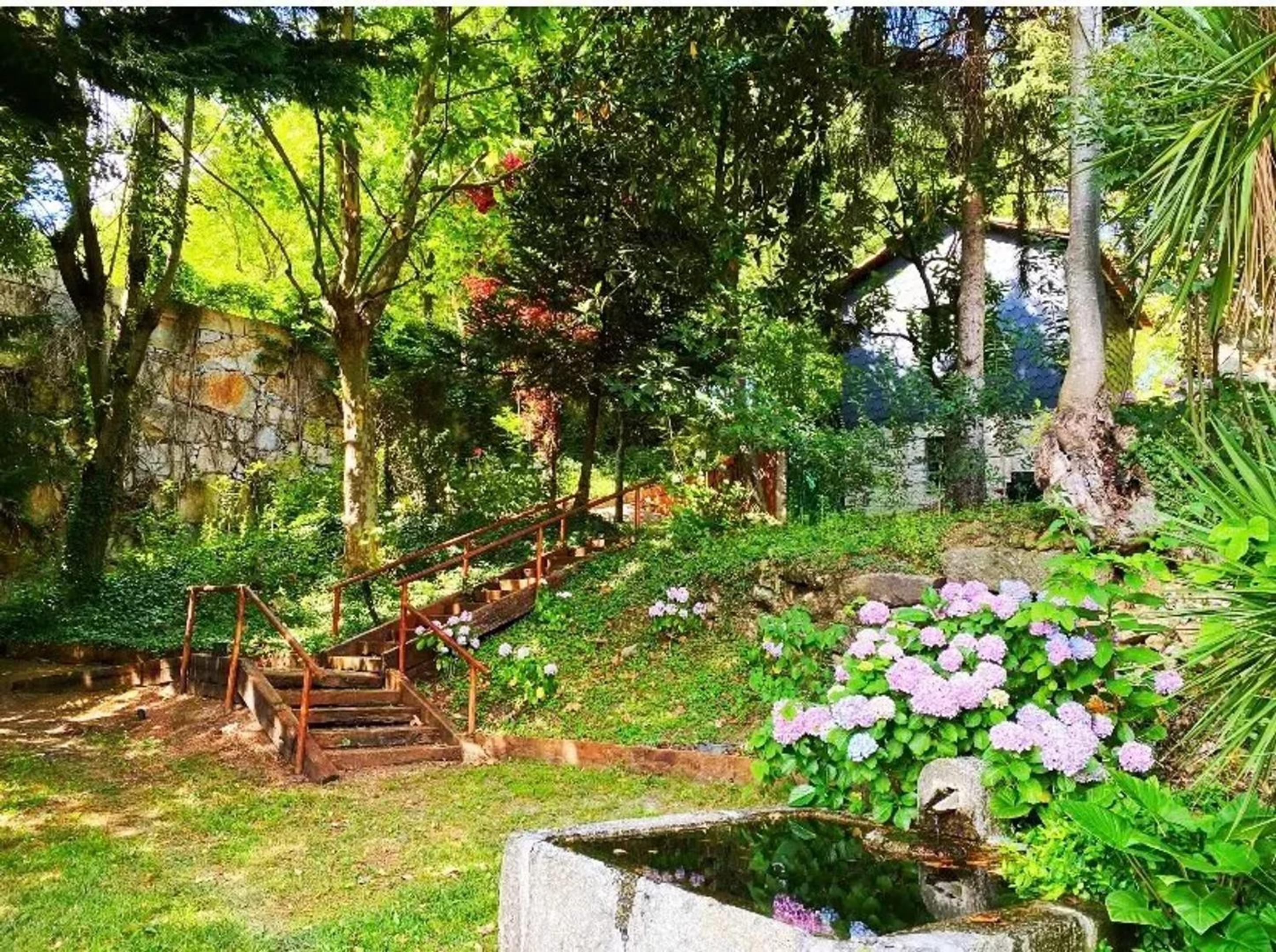 Photo 39