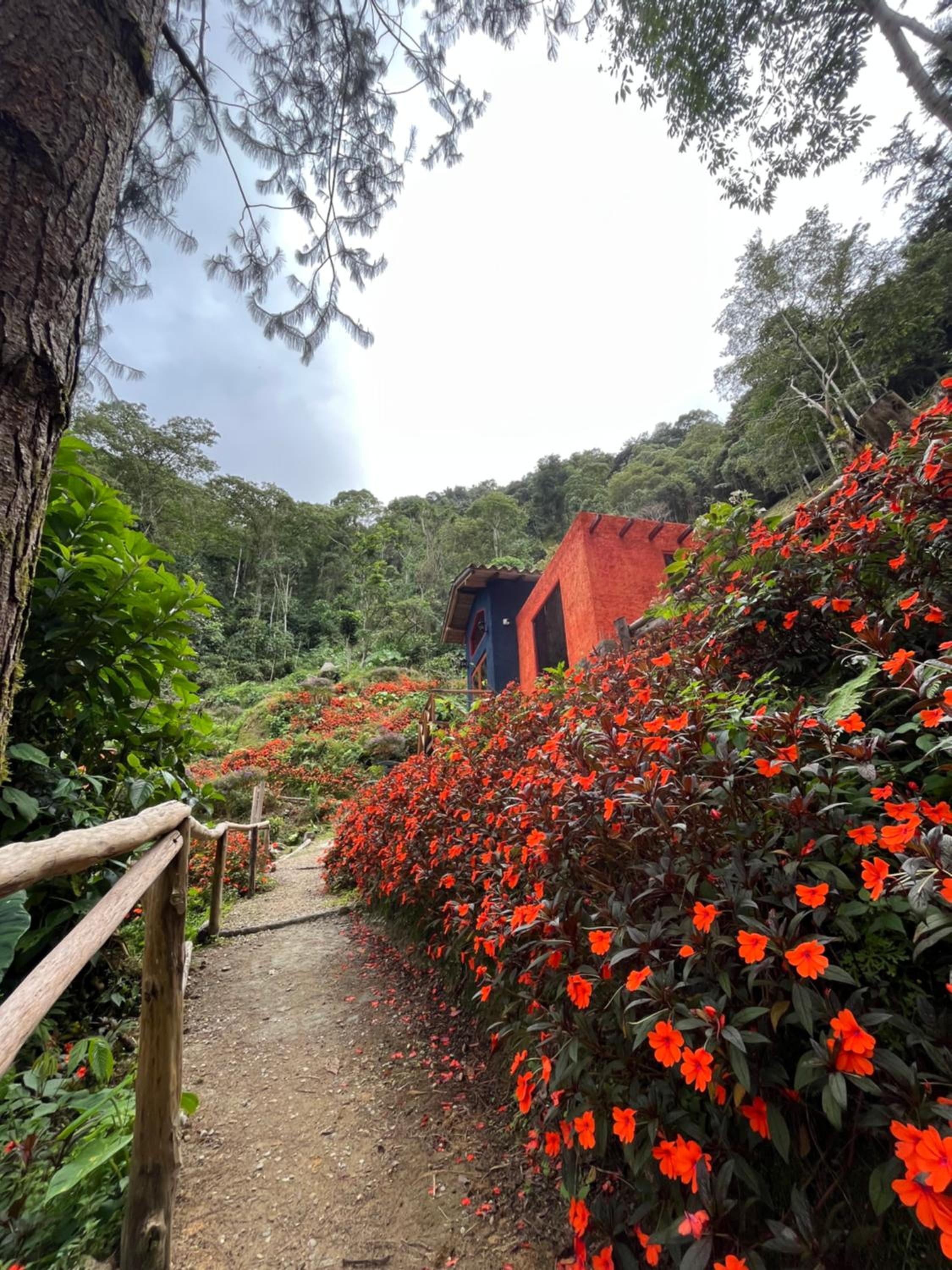 Finca Montmagica