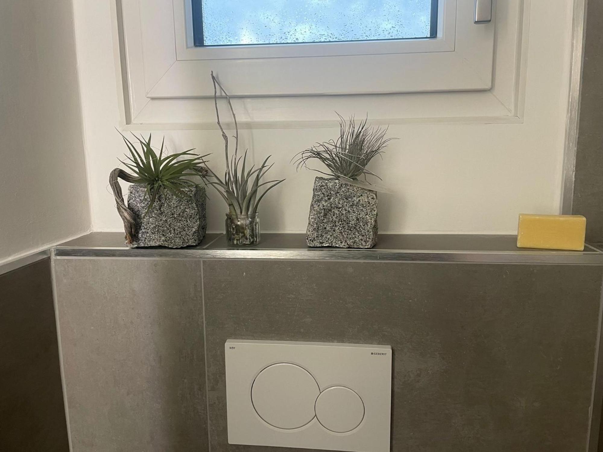 Exklusives Tinyhaus im Grünen