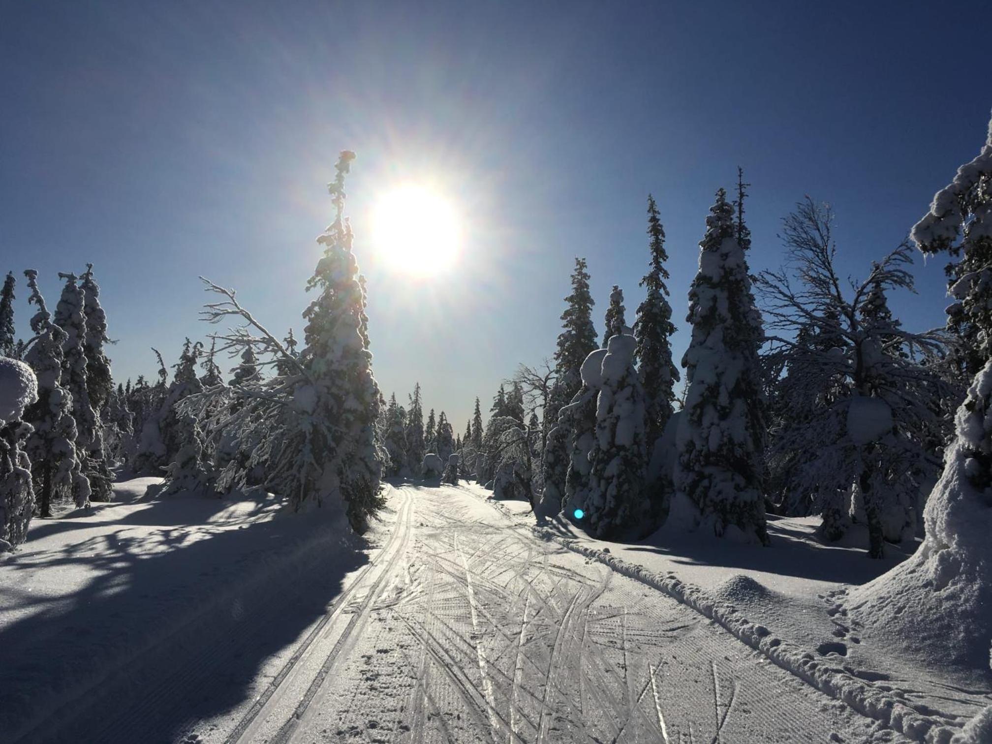 Syötteen Tähtisara