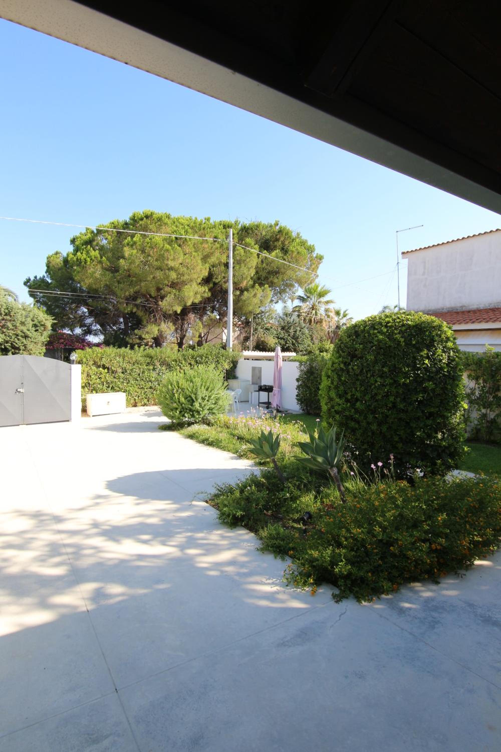 Photo 24