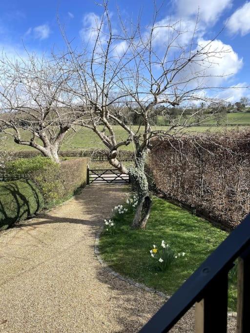 Little studio annexe