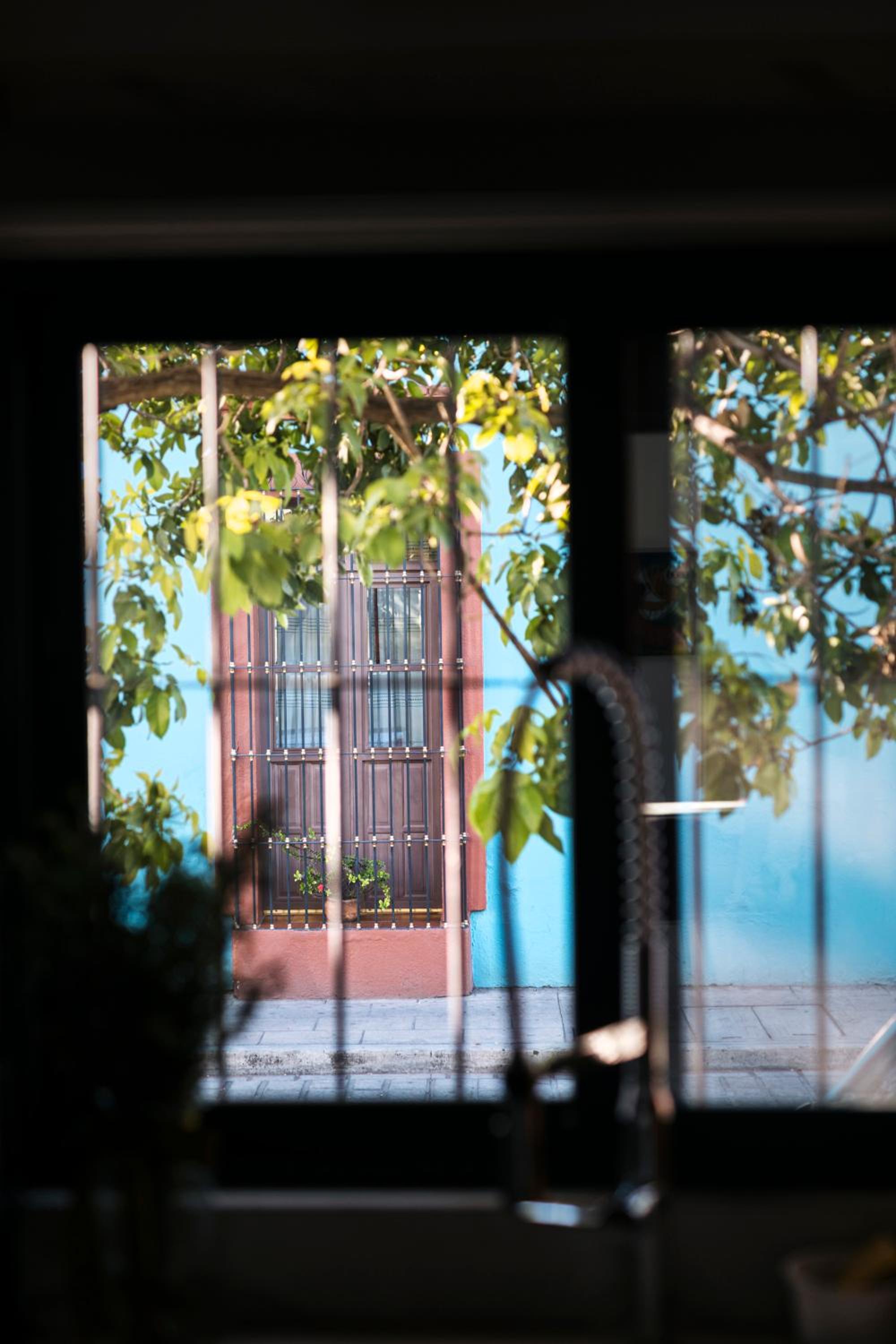 LARIMAR Gallery y Hotel Boutique - Property Image 176