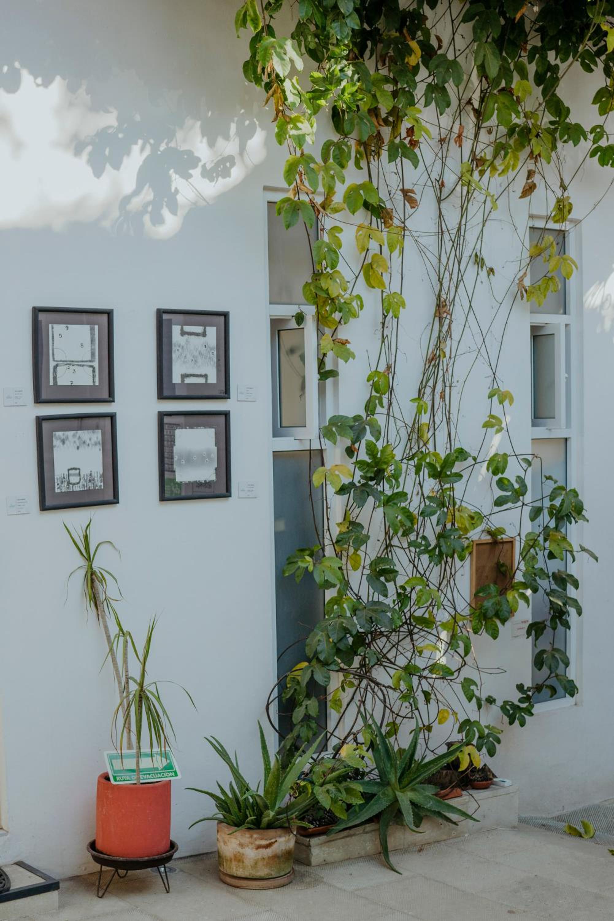LARIMAR Gallery y Hotel Boutique - Property Image 185