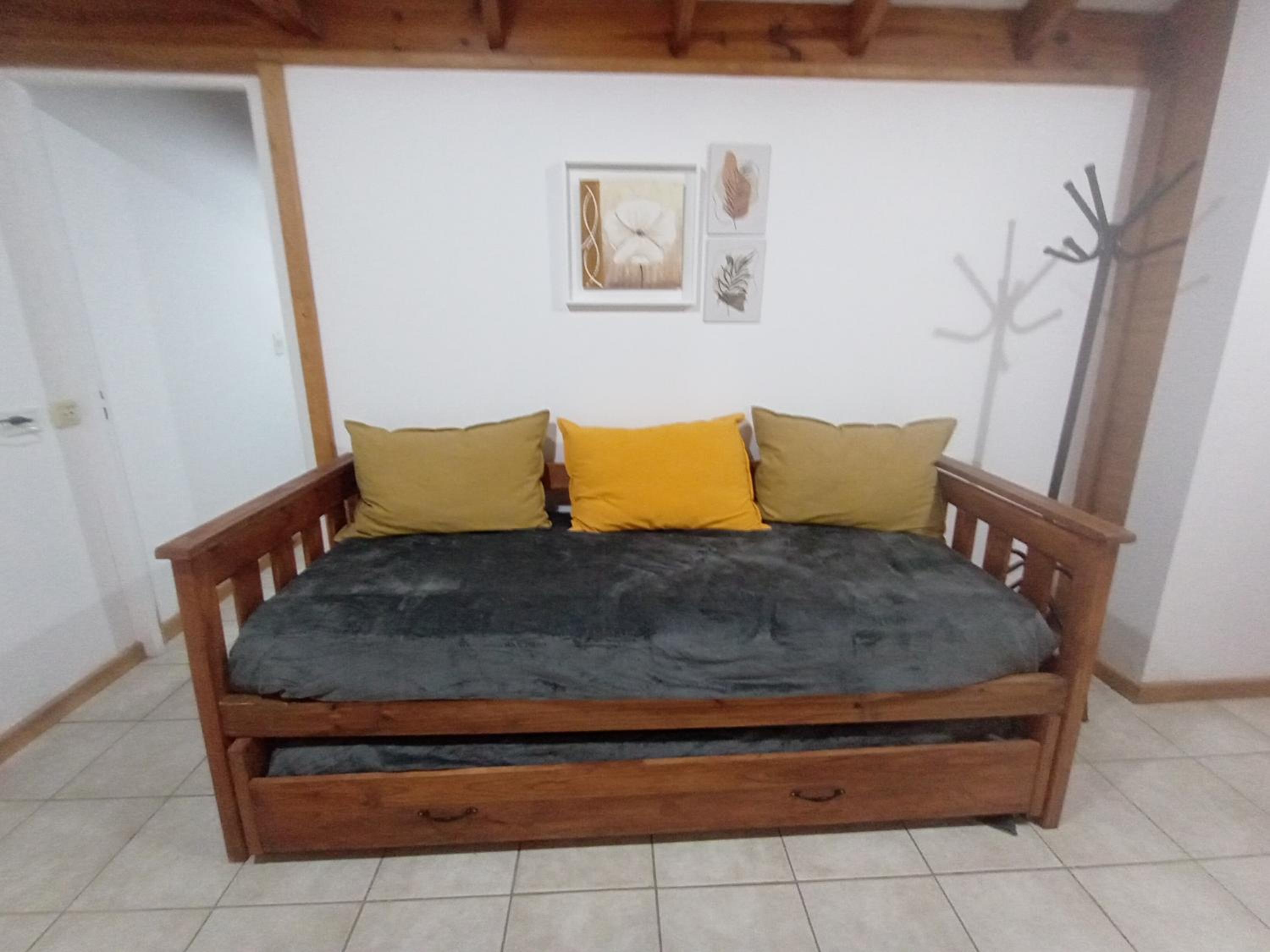 Araucarias1