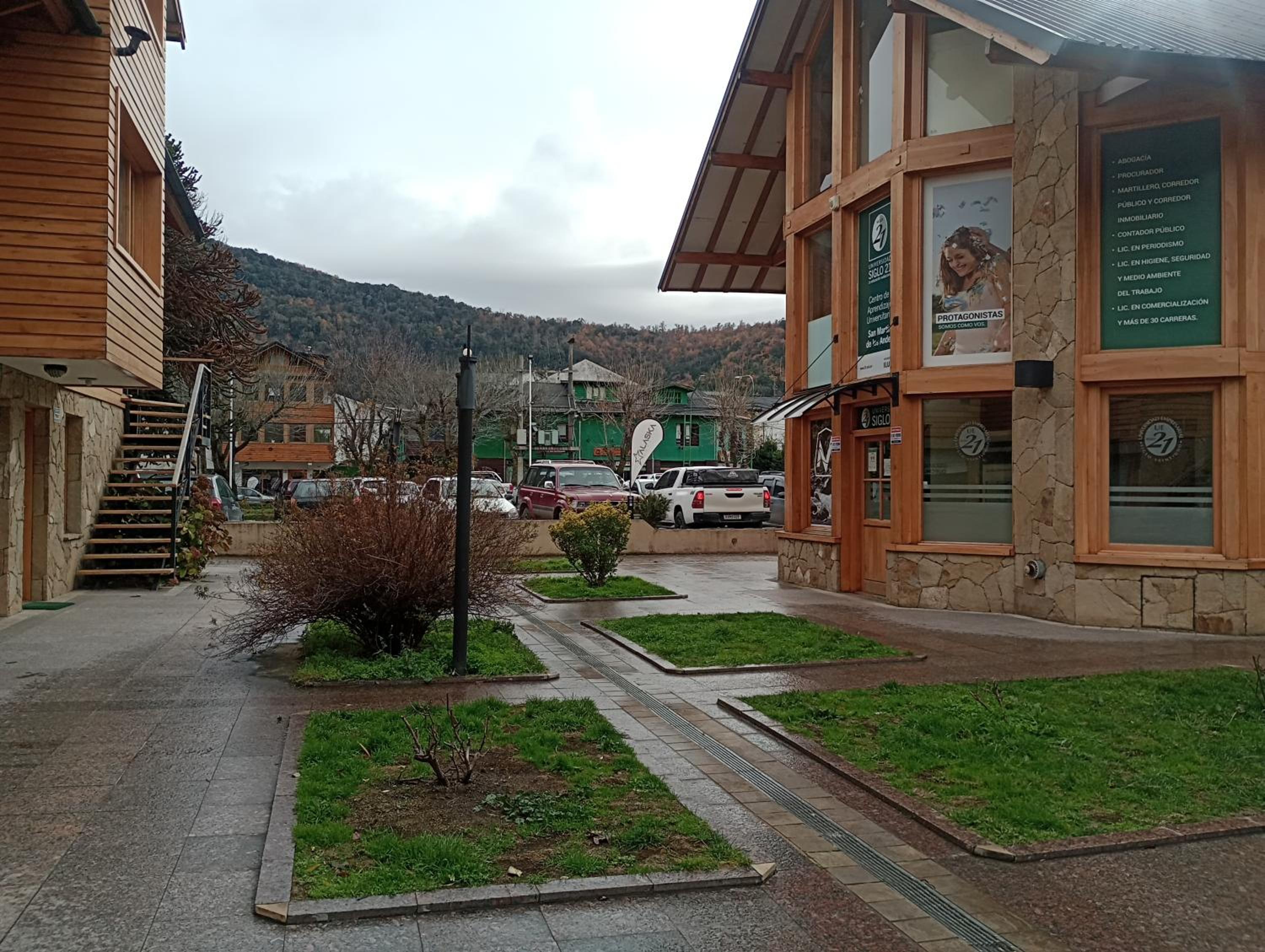 Araucarias1