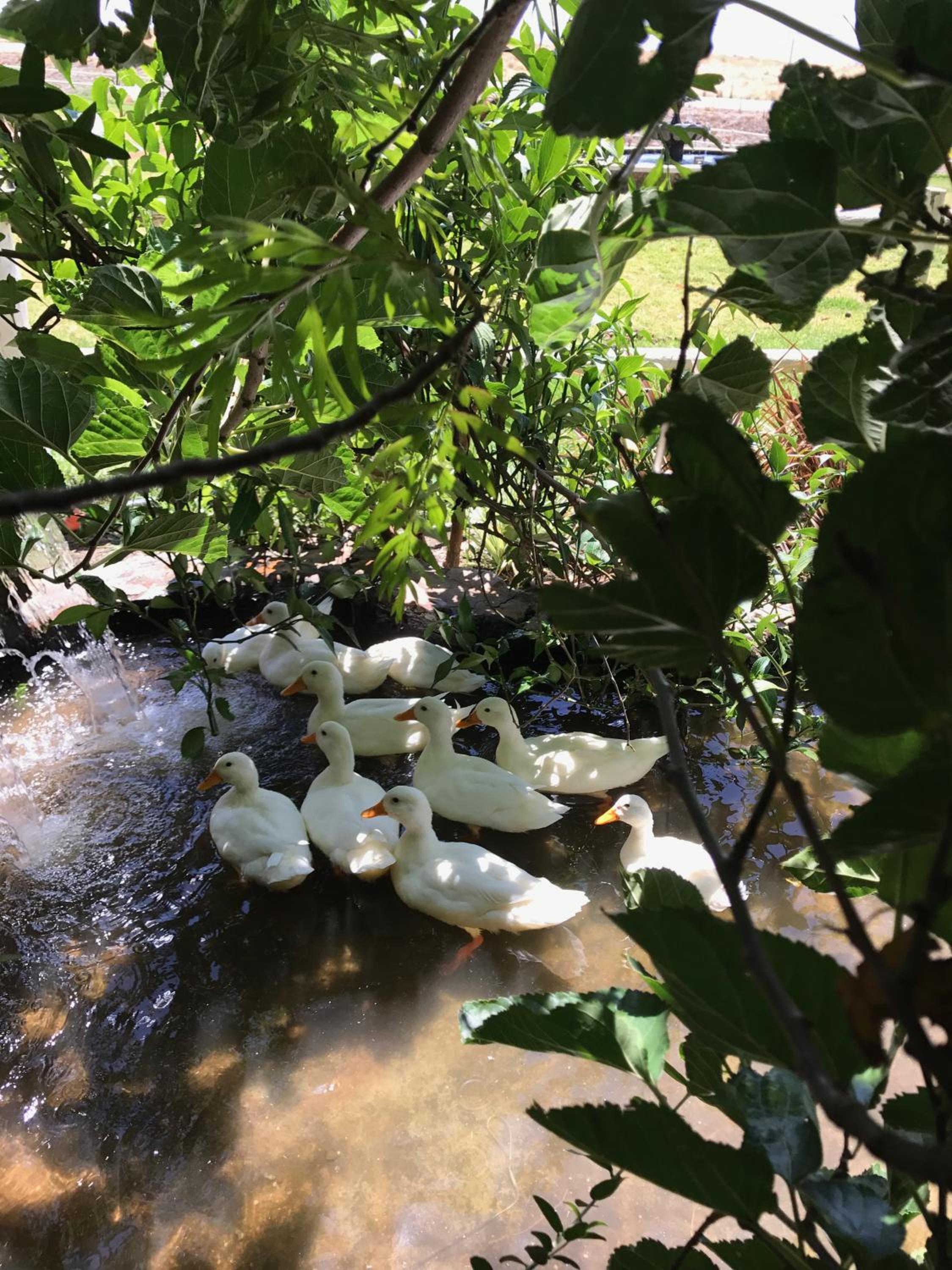Photo 16