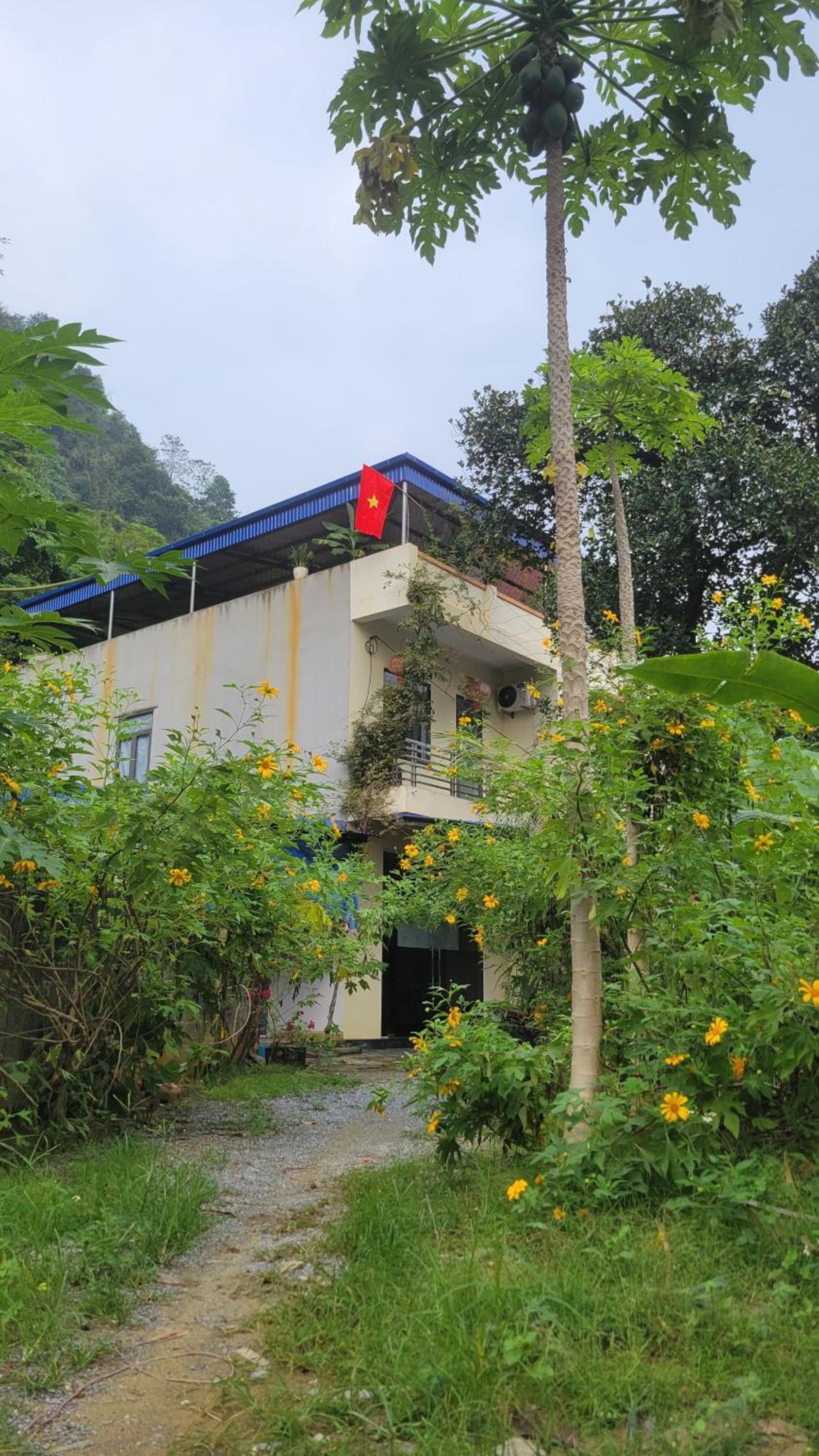 TôGia Home