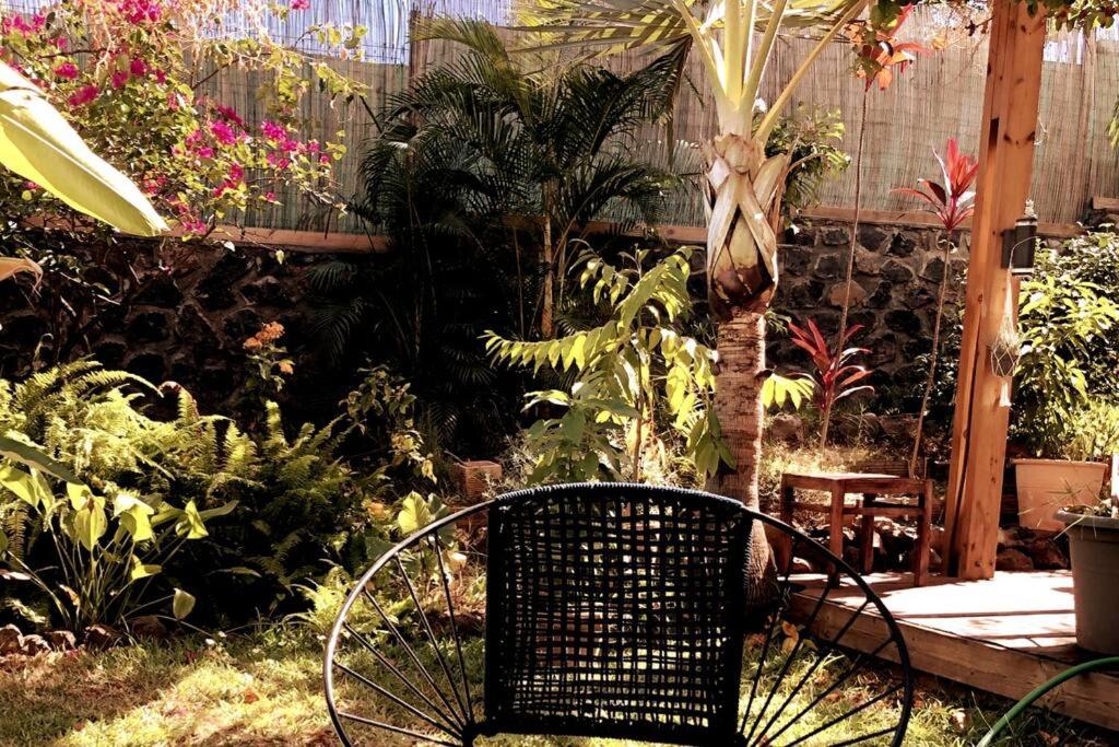 Appt Althea avec Jardin privé proche lagon - La Saline-les-bains