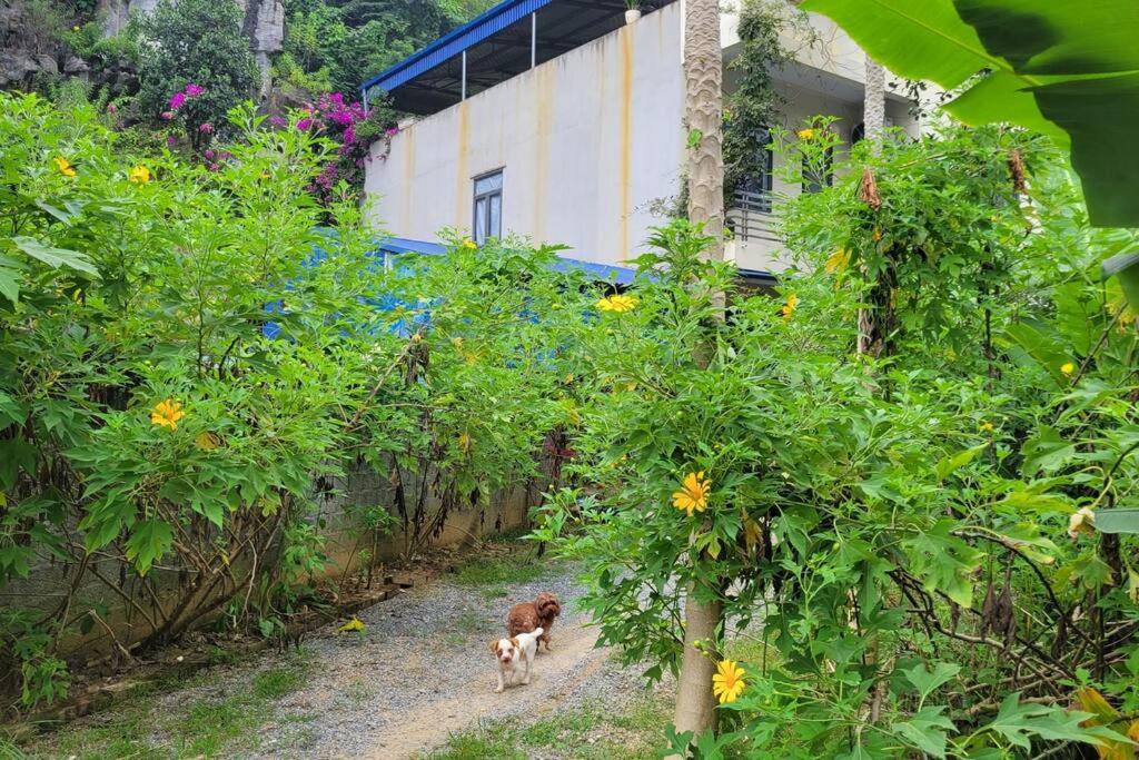 TôGia Home