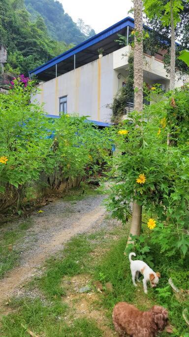 TôGia Home