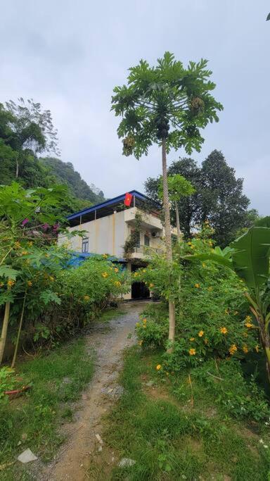 TôGia Home