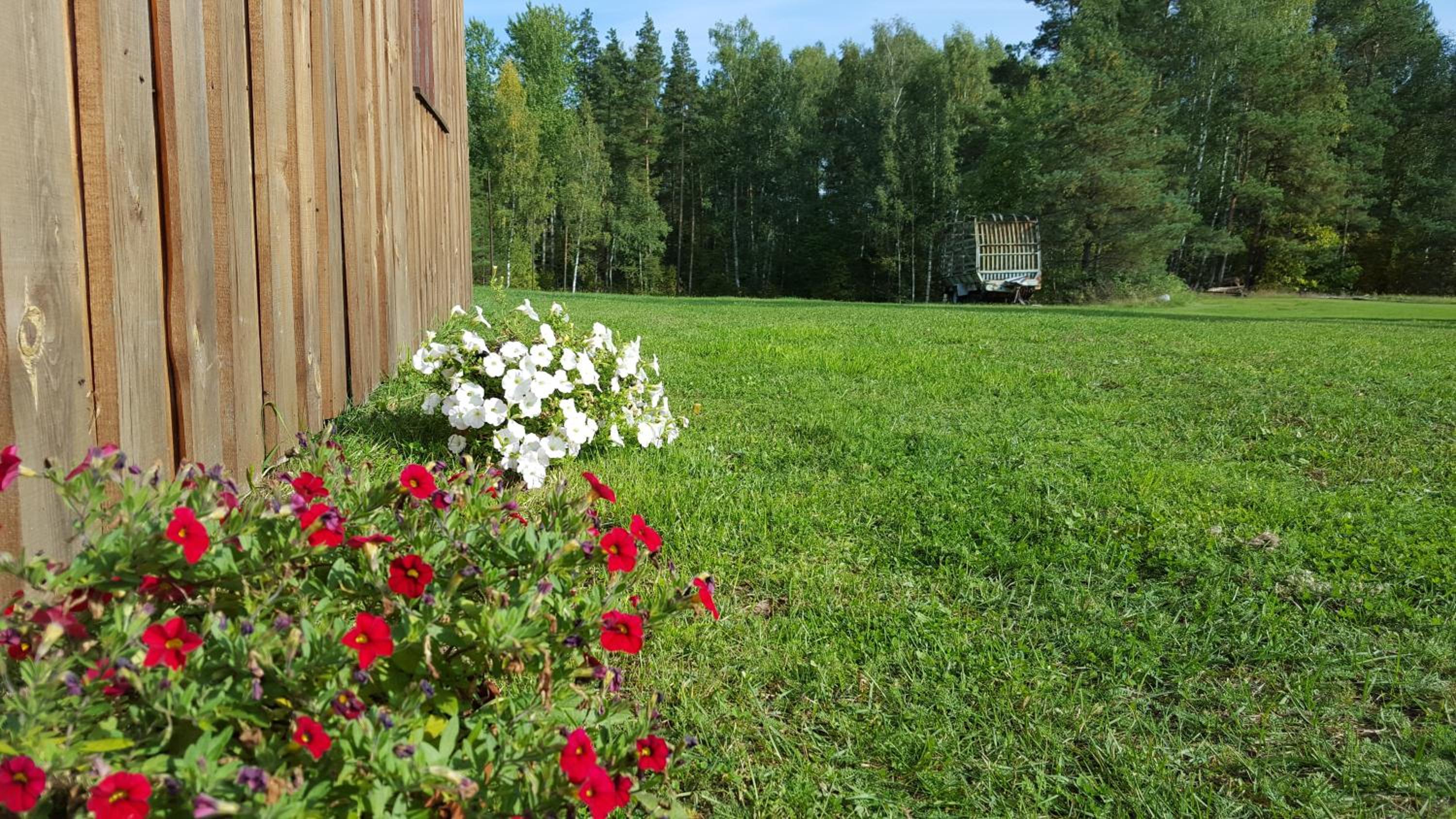 Priedīši