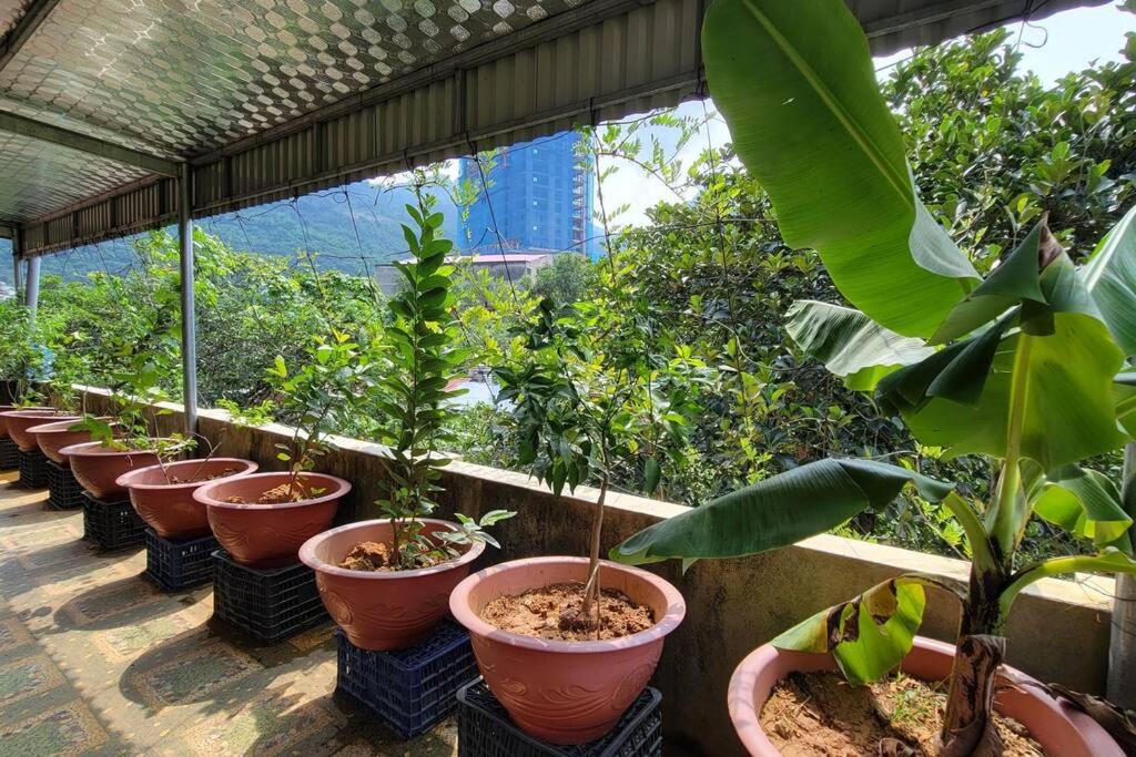 TôGia Home