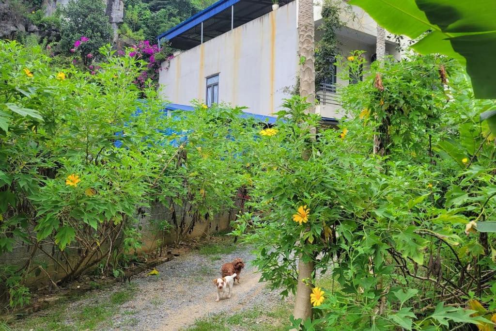 TôGia Home