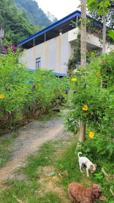 TôGia Home