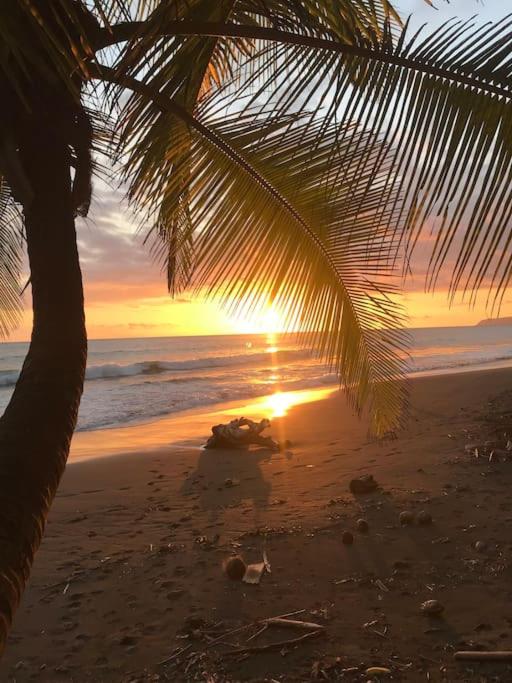 Casa’ Mapola : typical beach jungle house