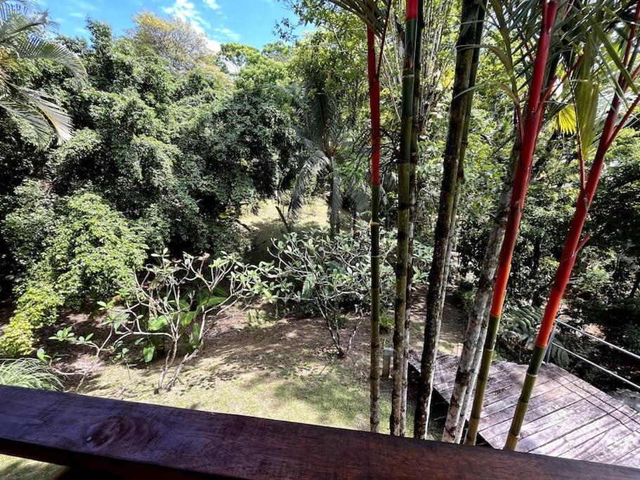 Casa’ Mapola : typical beach jungle house
