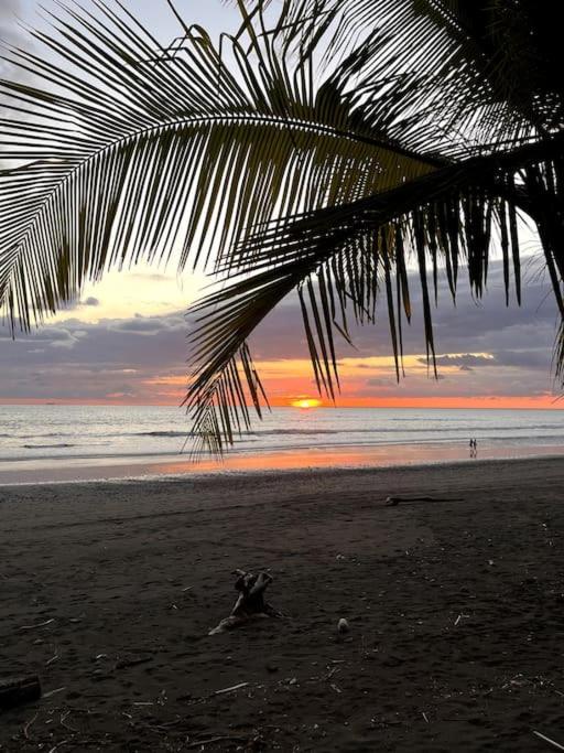 Casa’ Mapola : typical beach jungle house