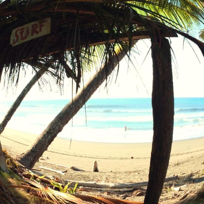 Casa’ Mapola : typical beach jungle house