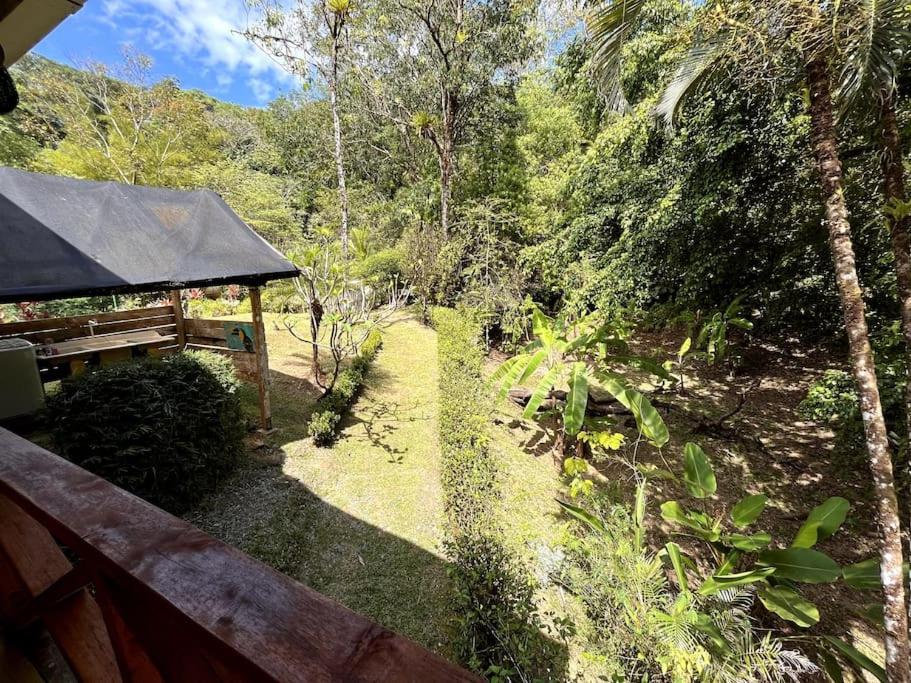 Casa’ Mapola : typical beach jungle house
