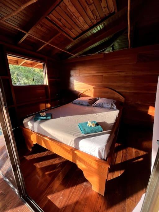 Casa’ Mapola : typical beach jungle house