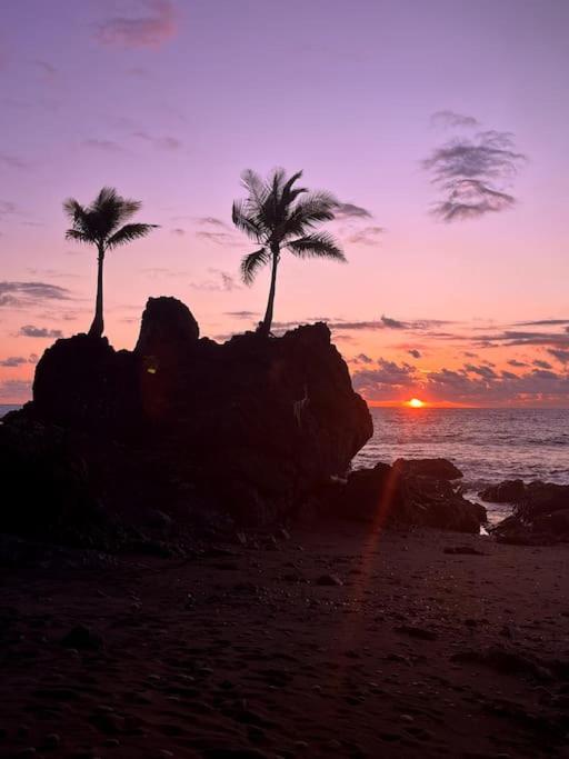 Casa’ Mapola : typical beach jungle house