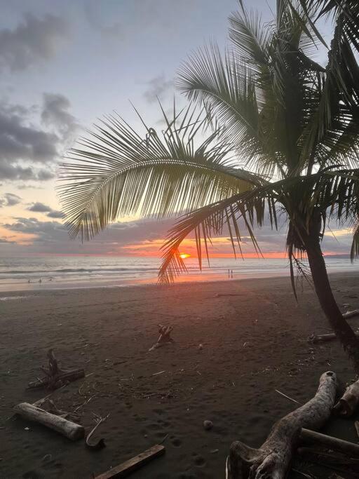 Casa’ Mapola : typical beach jungle house