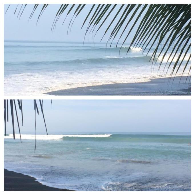 Casa’ Mapola : typical beach jungle house