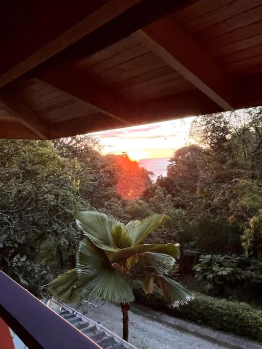 Casa’ Mapola : typical beach jungle house