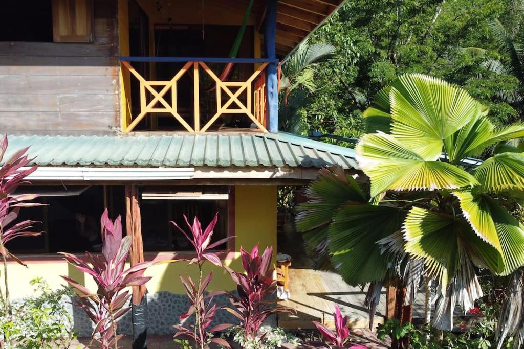 Casa’ Mapola : typical beach jungle house