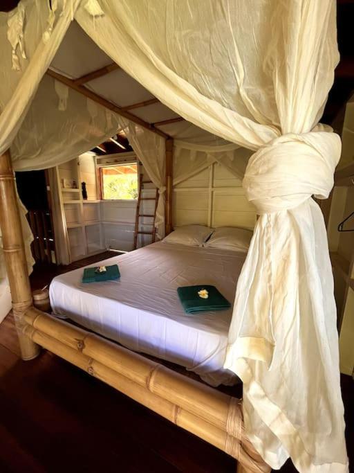 Casa’ Mapola : typical beach jungle house