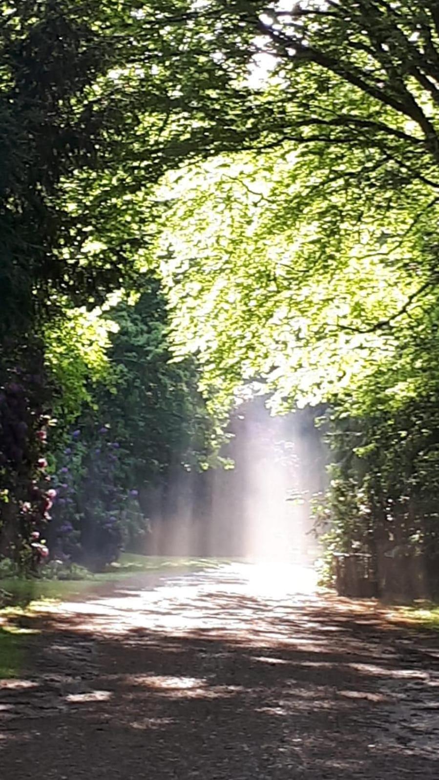 Altmarkblick