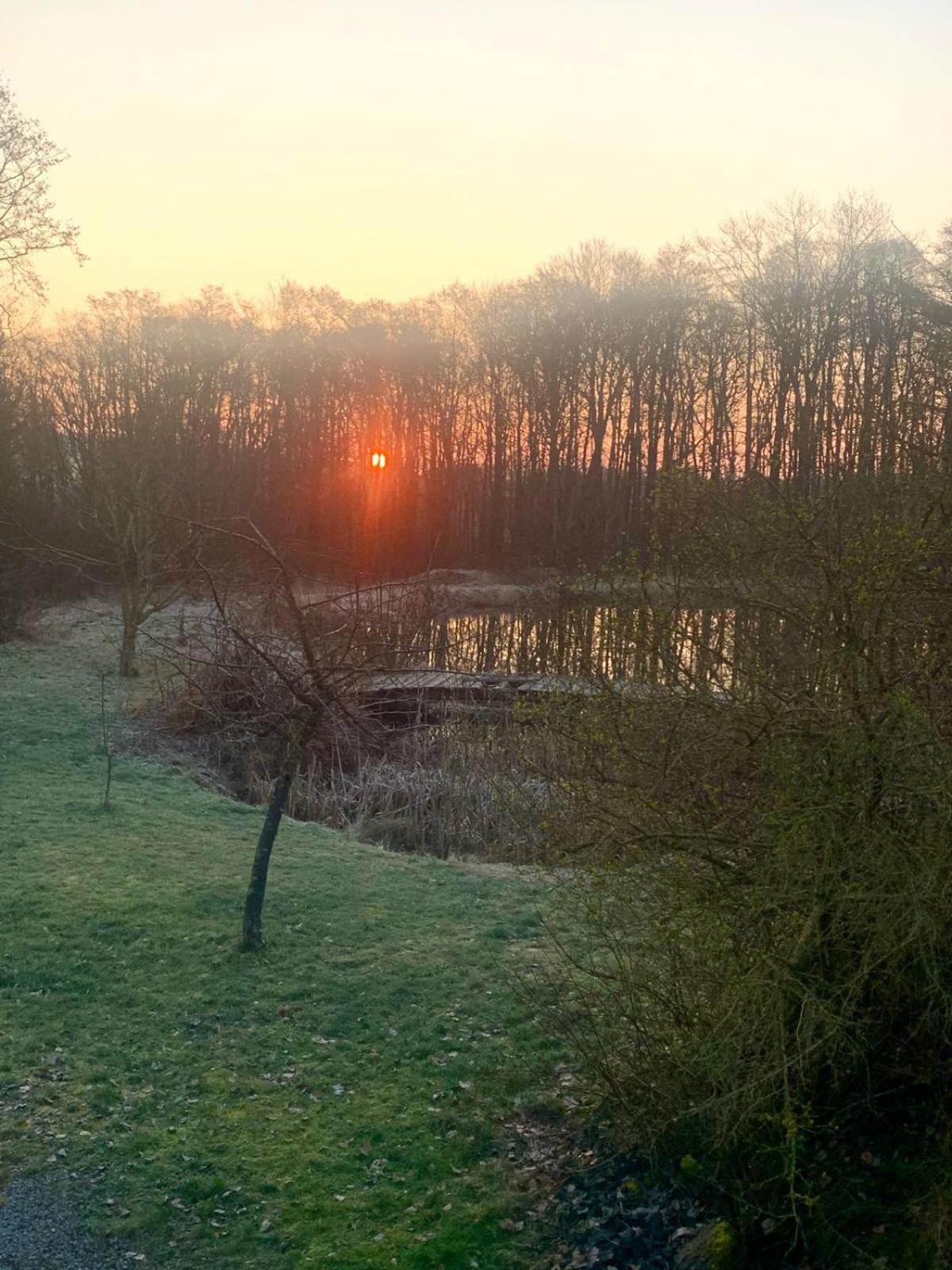 Altmarkblick
