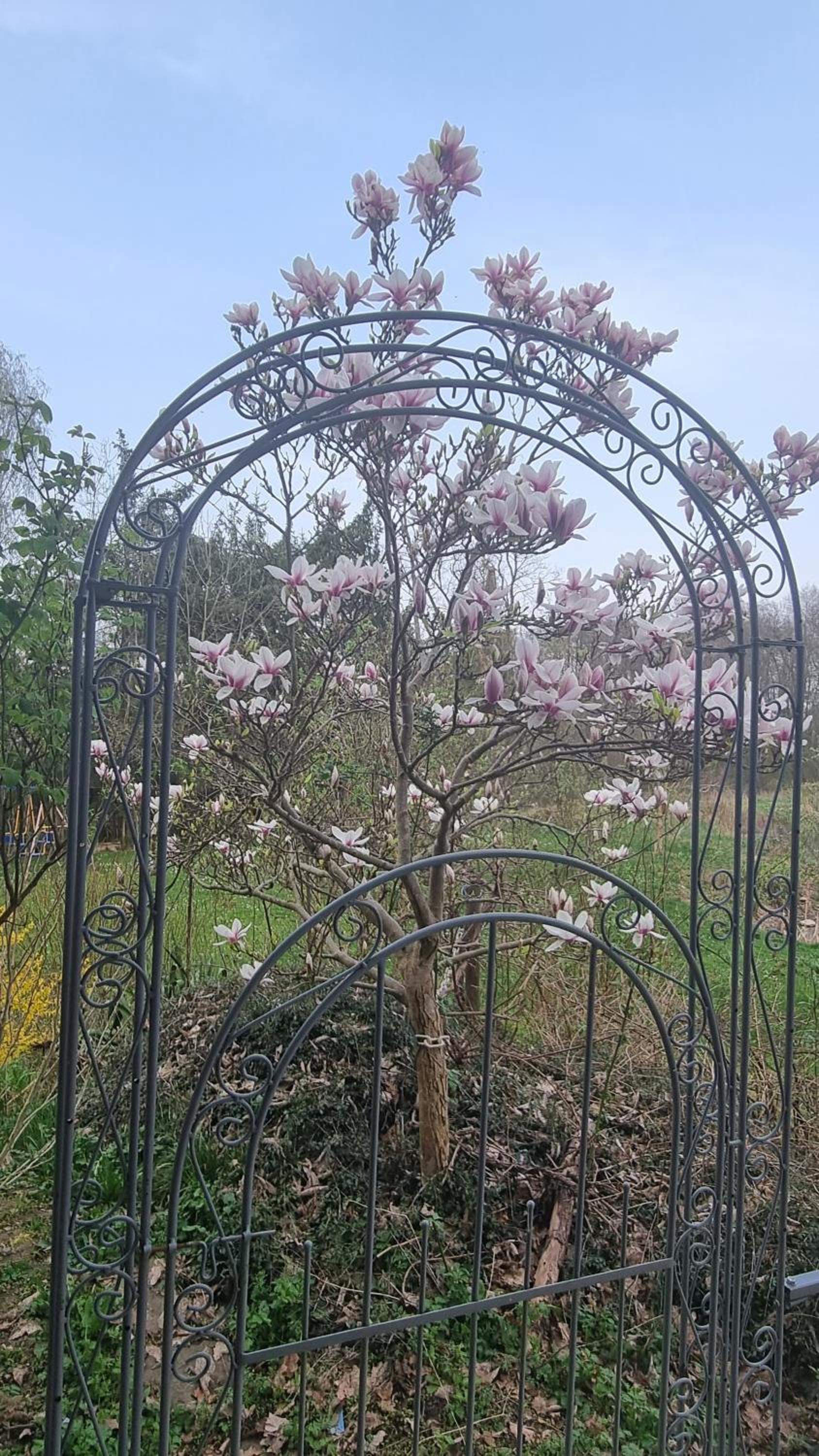 Altmarkblick