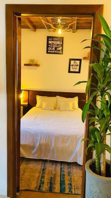 Apartamento Moderno Pardo 1945