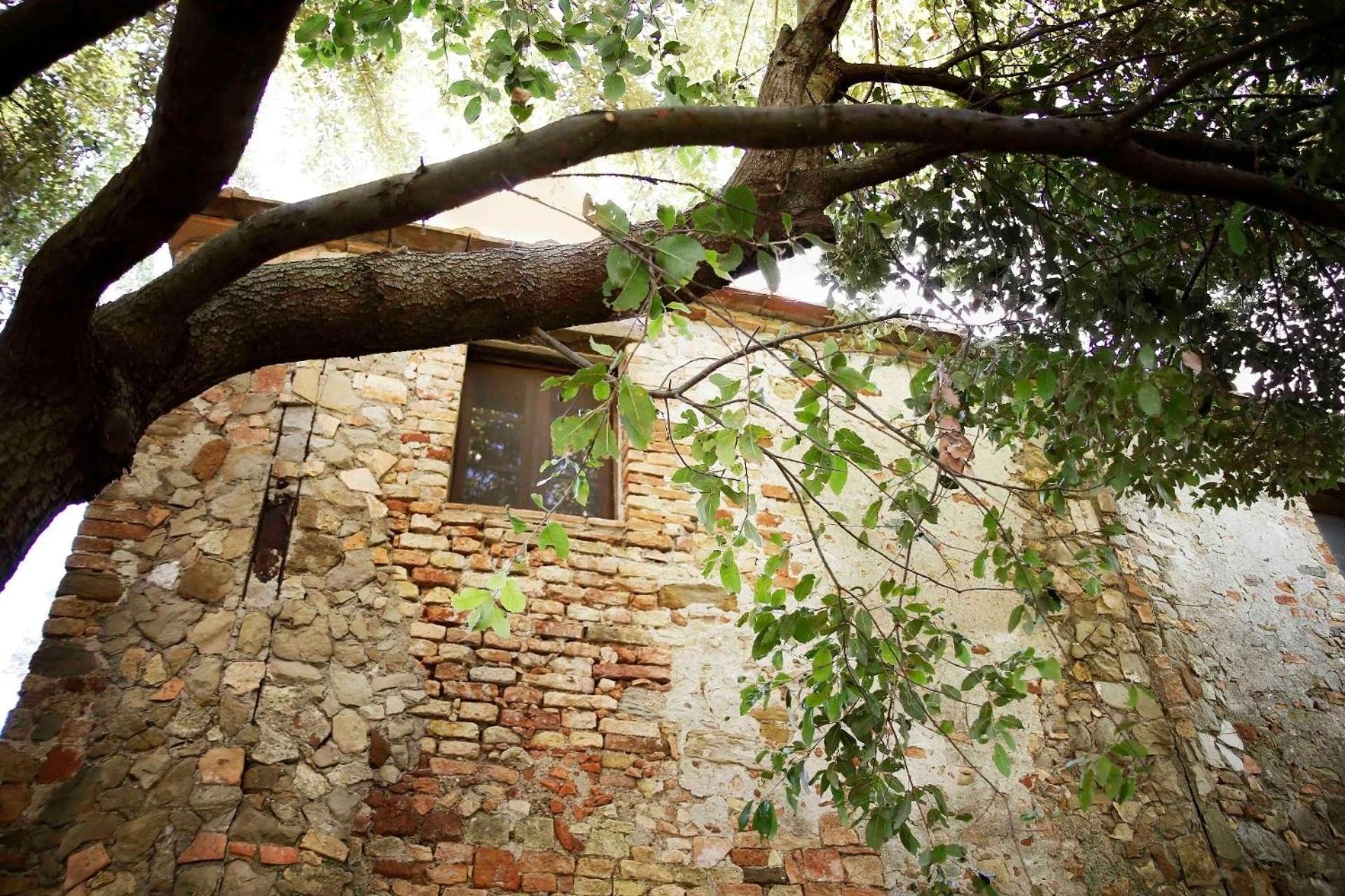Casa Il Sàrperi In Montecatini Val Di Cecina view 4