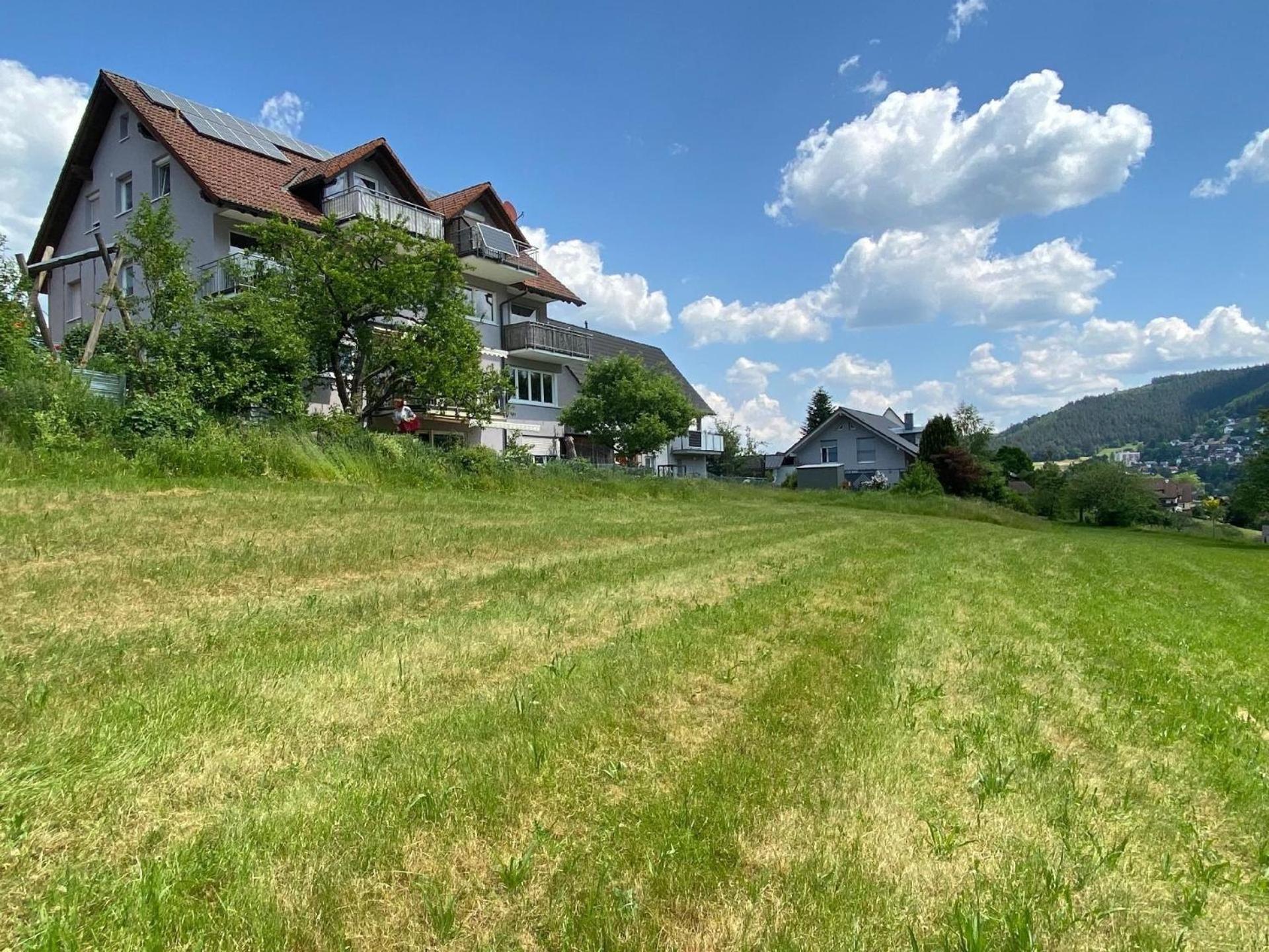 Schwarzwald Idylle