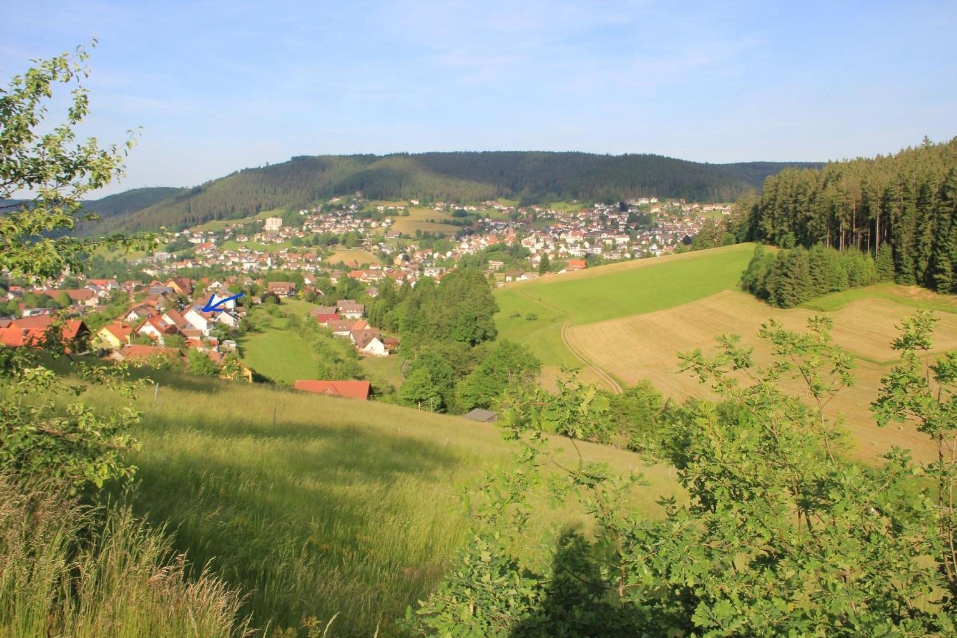 Schwarzwald Idylle