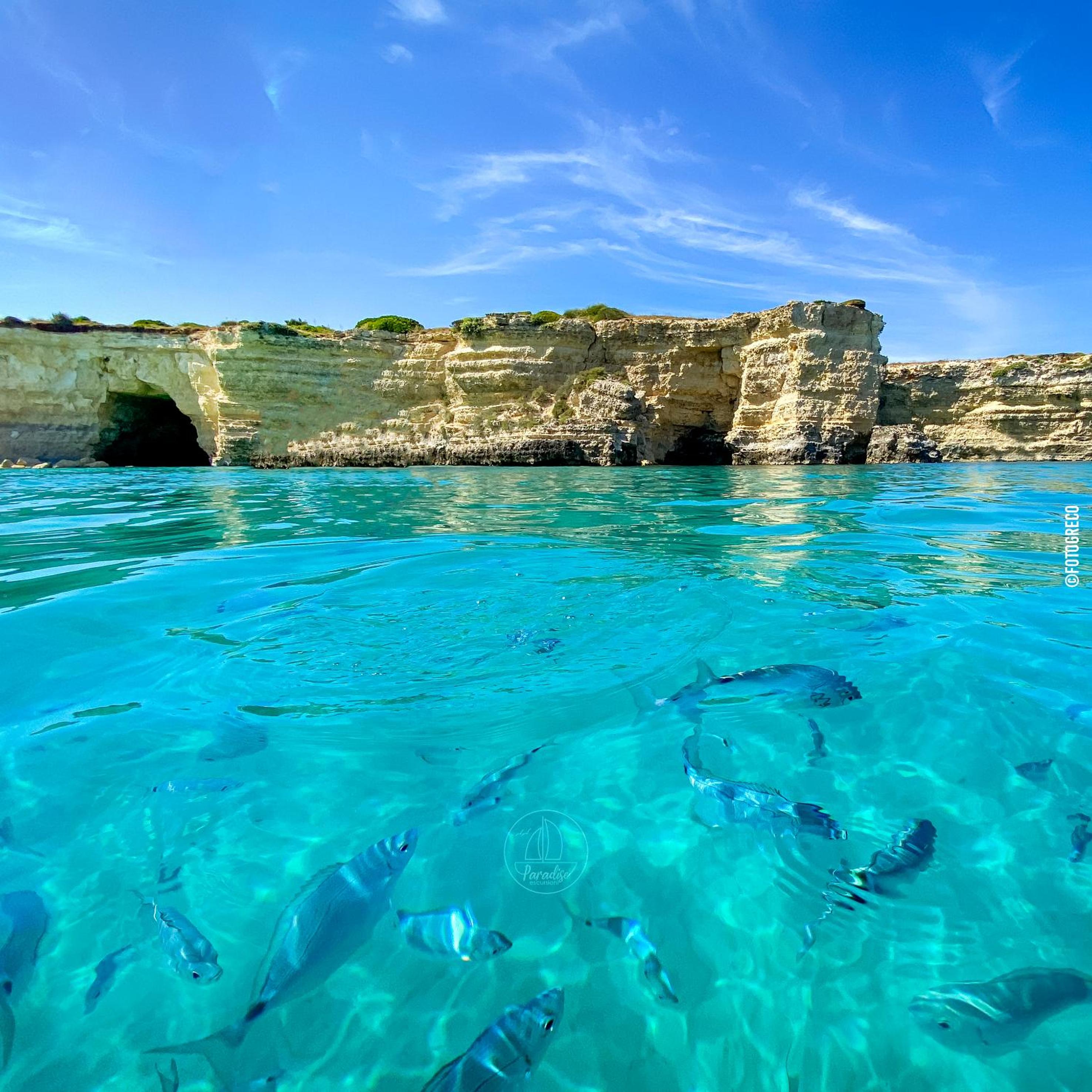 Salento Terra Maris
