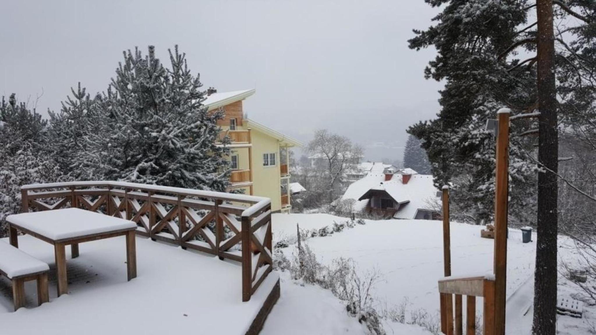 Ferienwohnung Villa Albatros In Oberdellach
