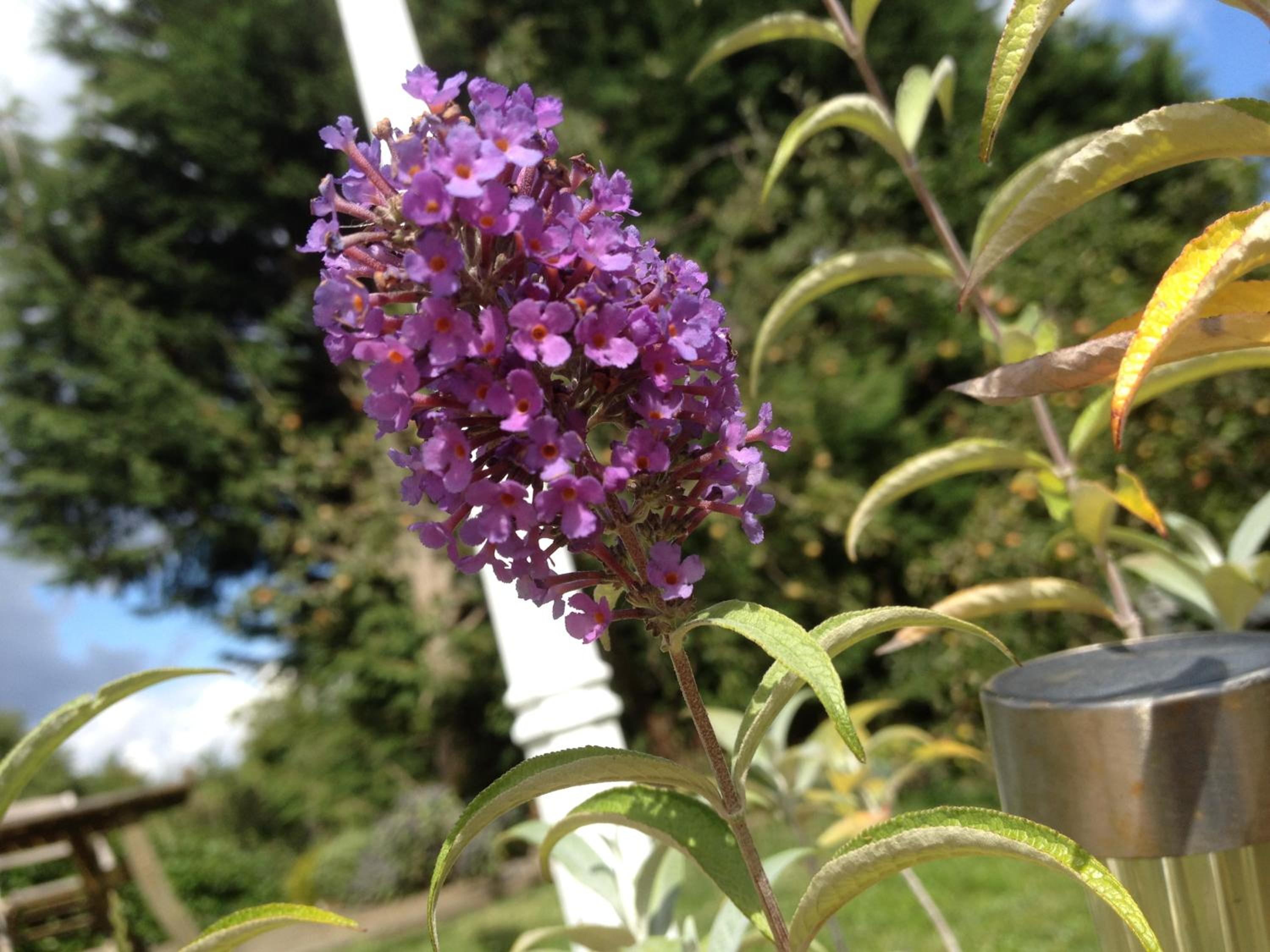 Photo 14
