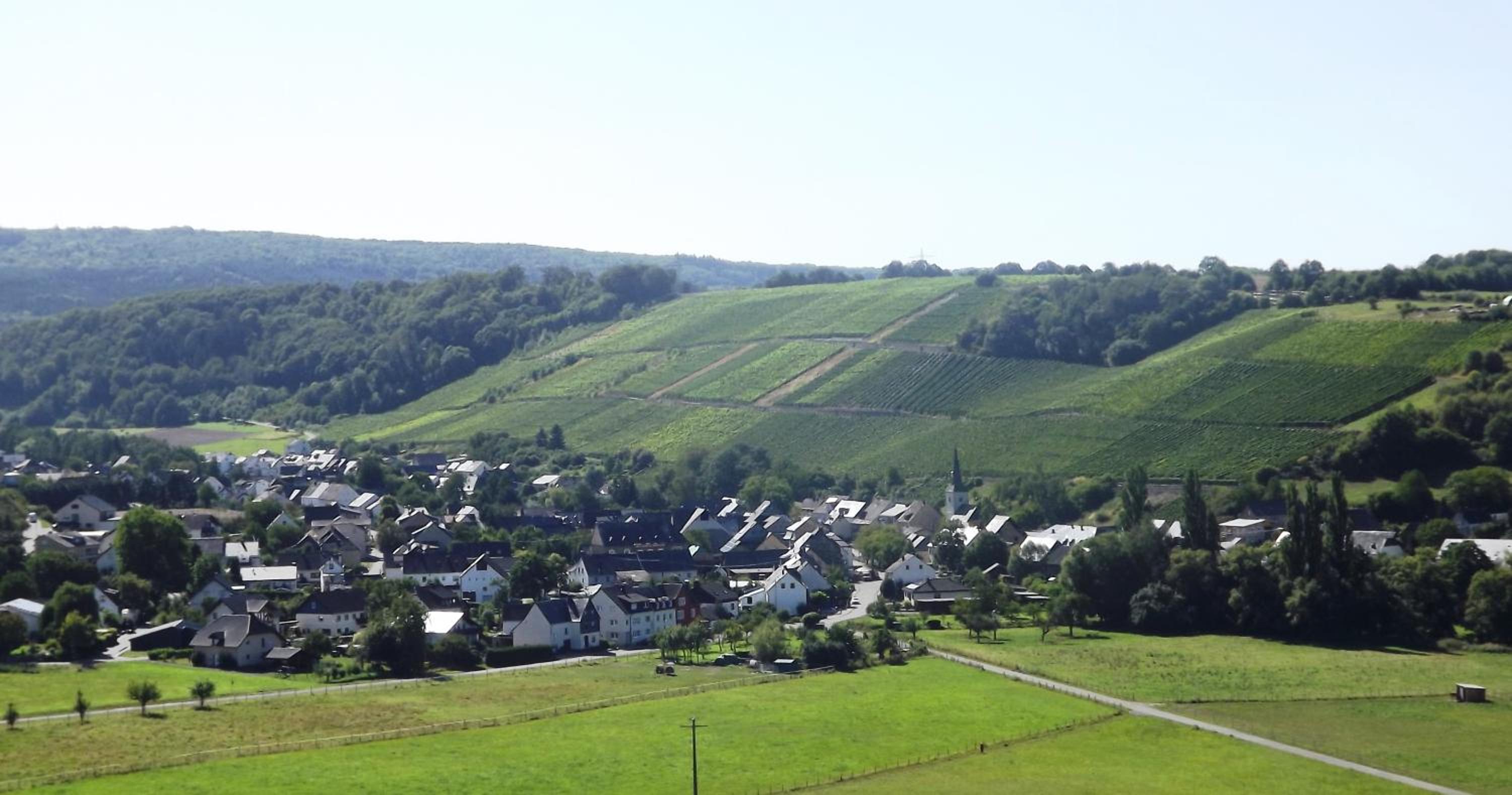Ferienweingut & Gutsrestaurant Becker