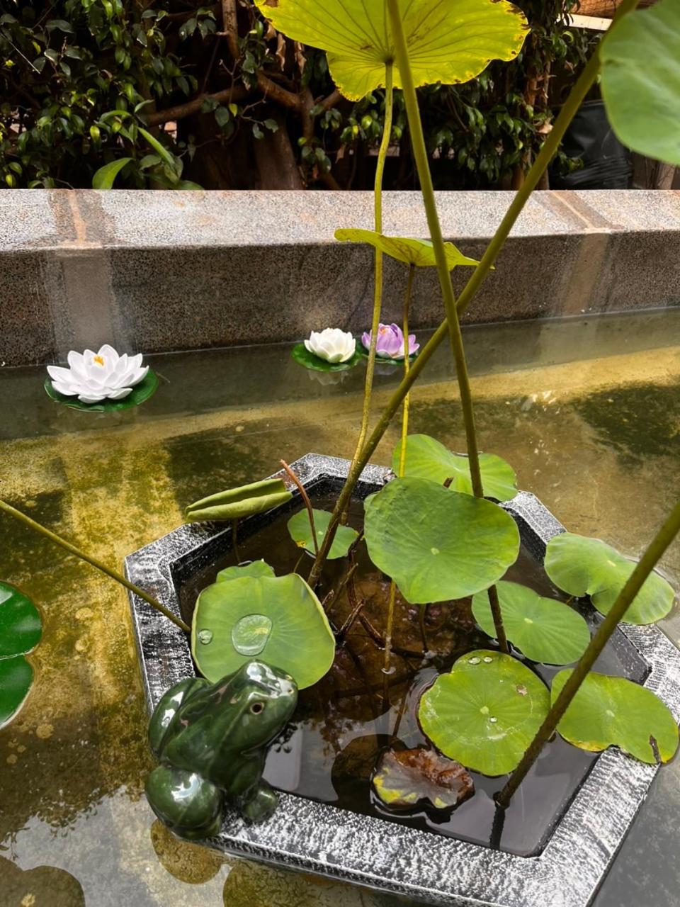 Villa biển Oceanami B805 - Ô tô đậu trước cửa nhà view 4
