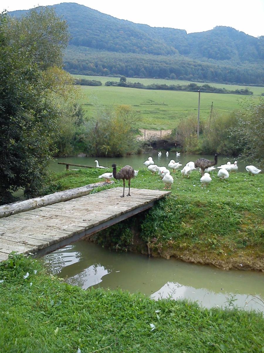 Photo 20