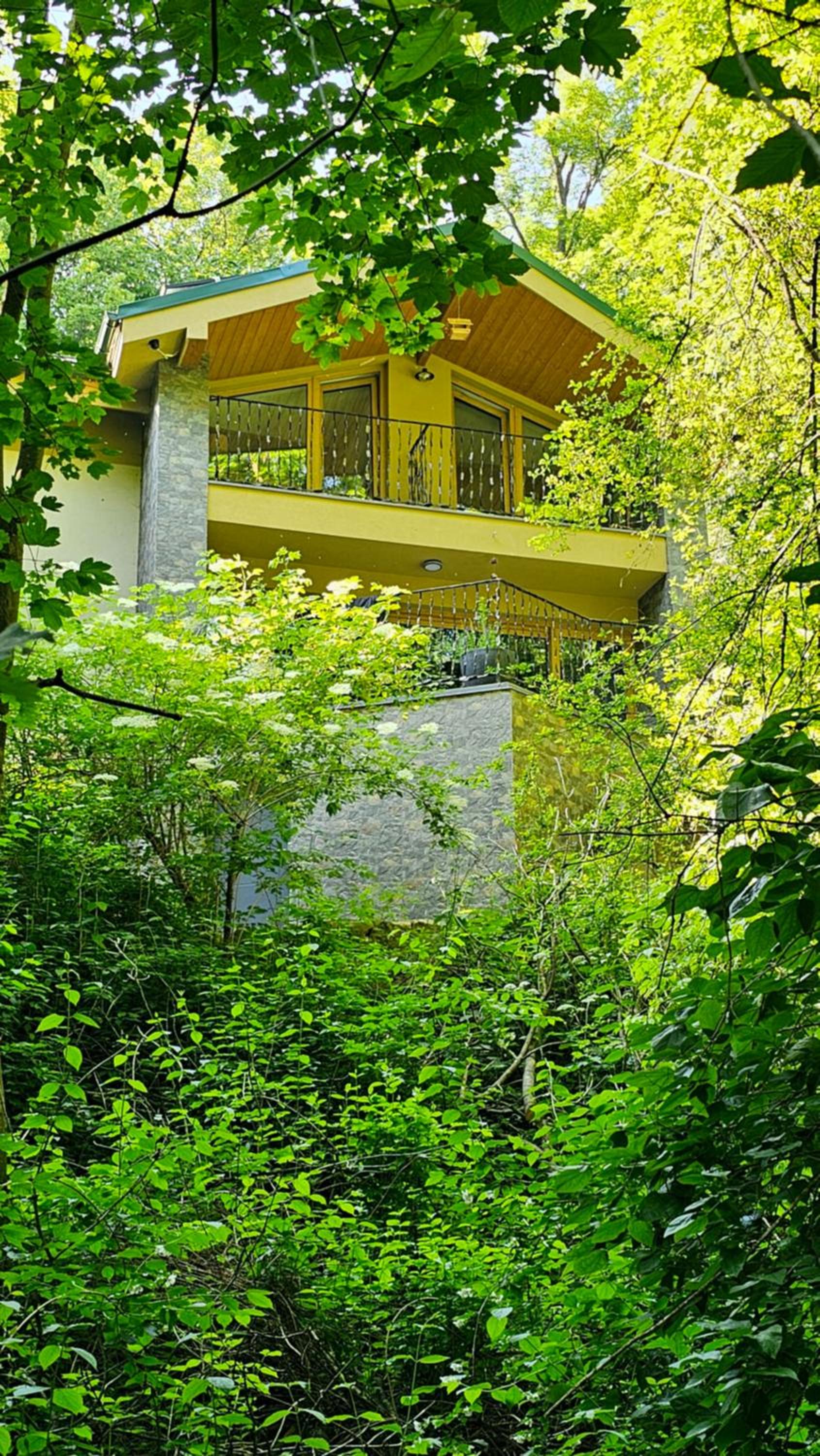 Chalet Robinson