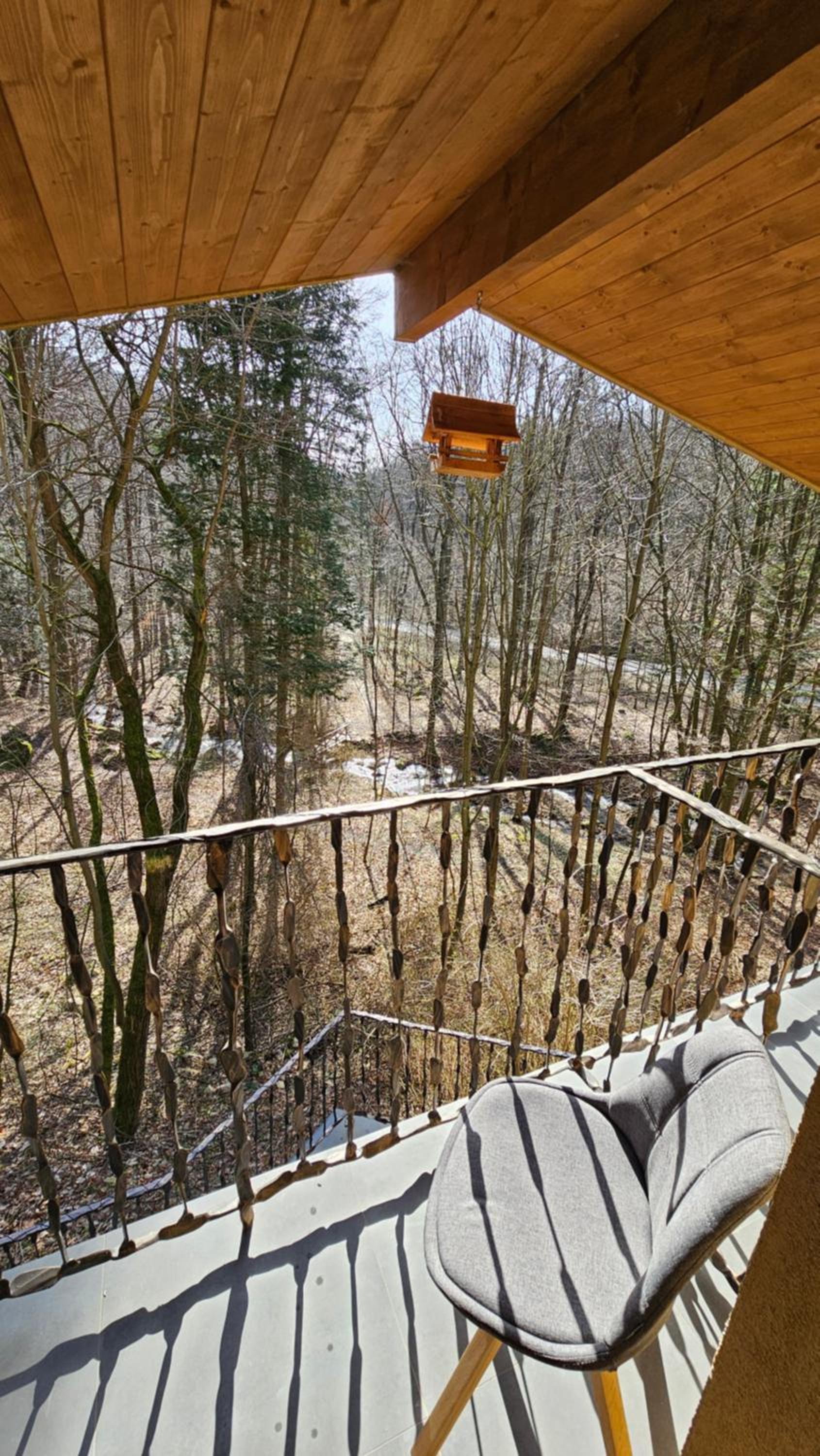Chalet Robinson