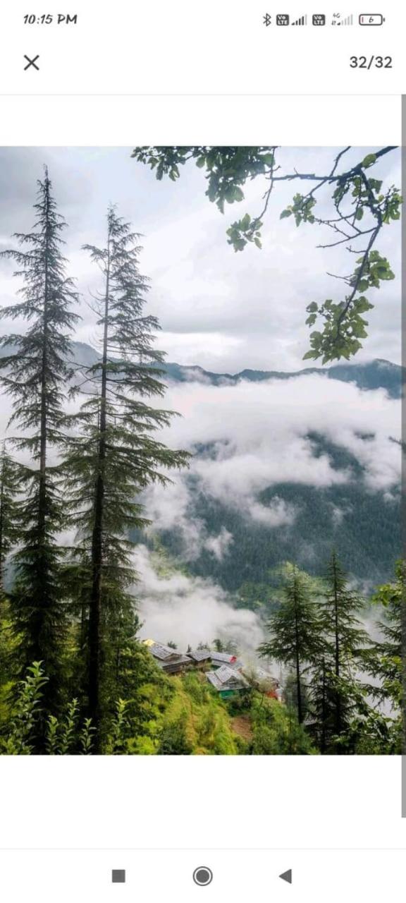 Jannat Cottages & Treehouse view 2