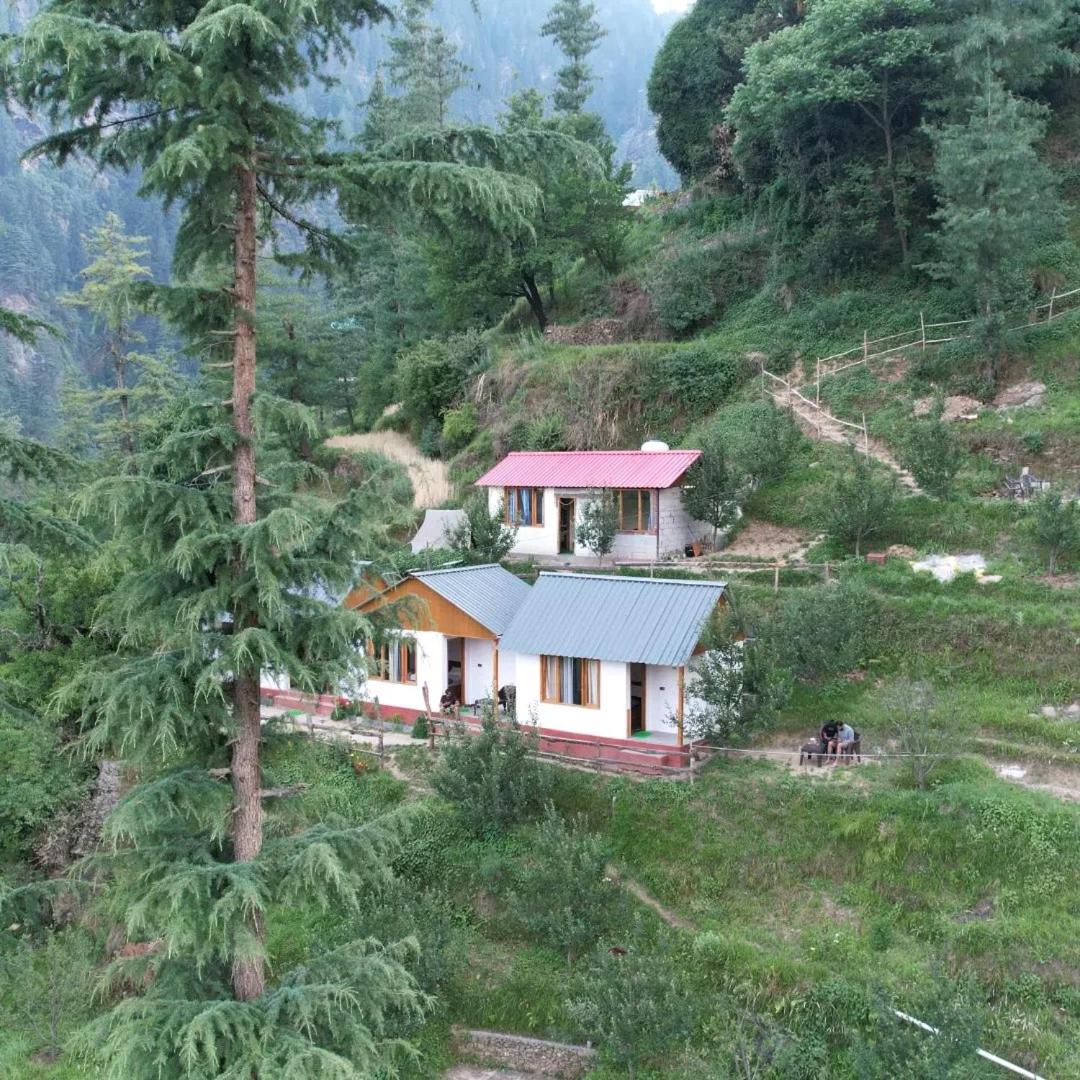 Jannat Cottages & Treehouse view 5